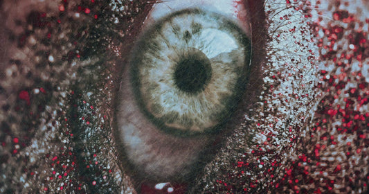 How to Write Horror: Understanding Vulnerability