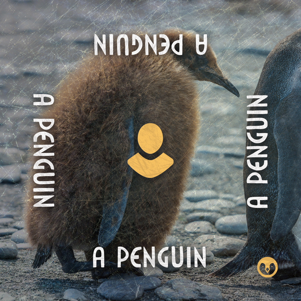 PDF "Oops, All Penguins!" Expansion