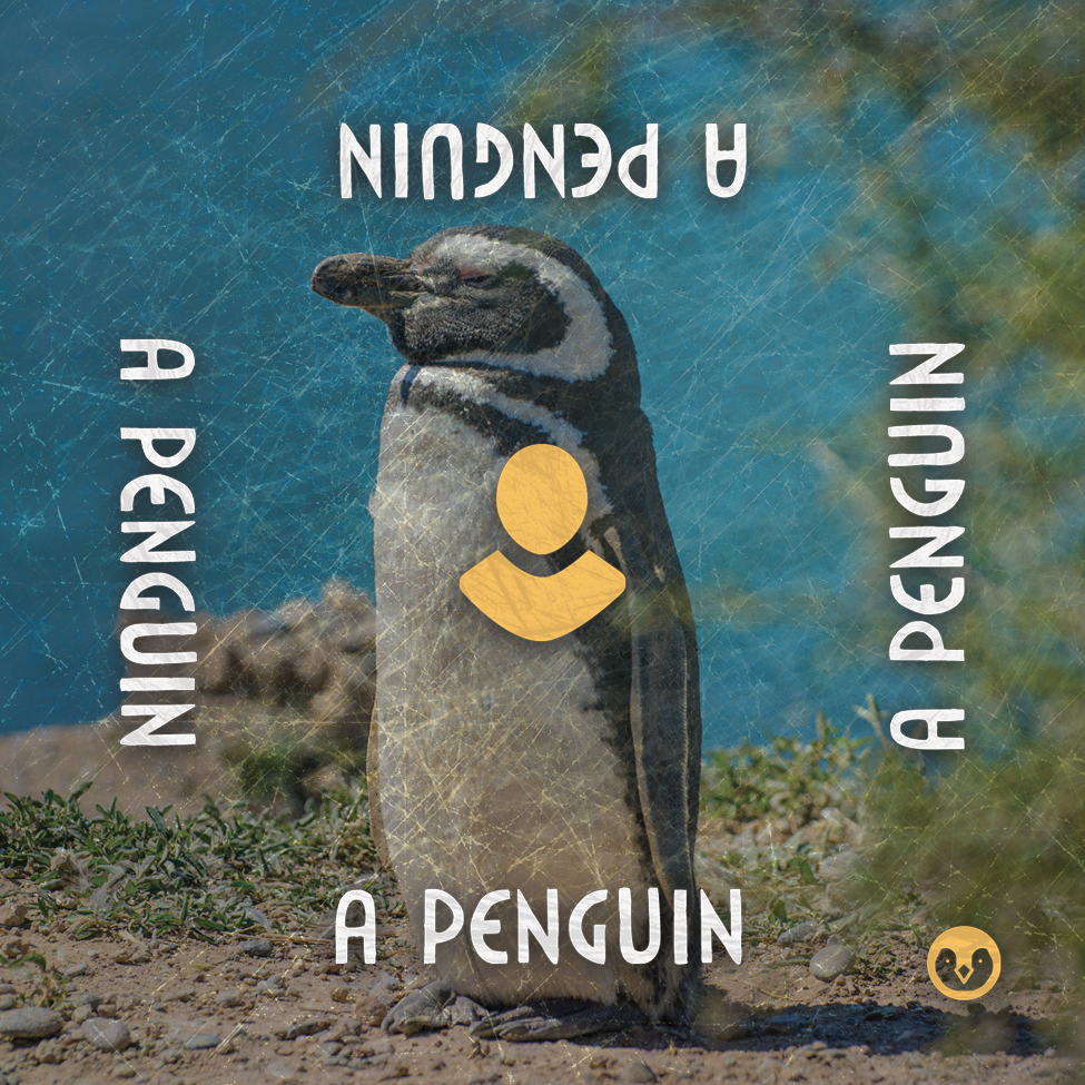 PDF "Oops, All Penguins!" Expansion