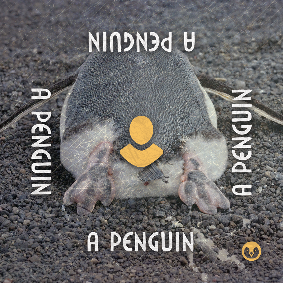 PDF "Oops, All Penguins!" Expansion