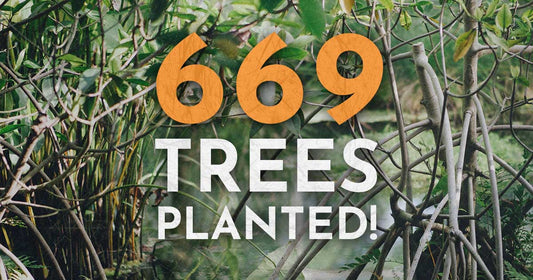 We Planted 669 Trees!