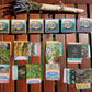 PDF Deck of Worlds